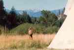 Yoga at the Tipi, North Cascades, Leavenworth, WA 