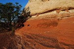 Navajo Sandstone: Canyonlands, Utah