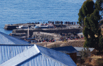 Large Crowds disembark daily from Puno for Ocosuyo, Amantani