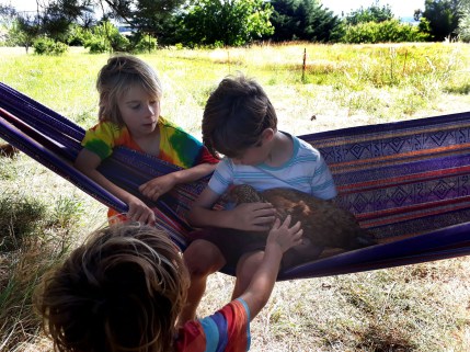 Children at Mountain Spirit, enjoying chicken energy