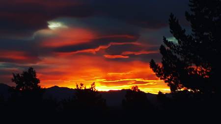 91135844_1583230951846288_1370278550938058752_o