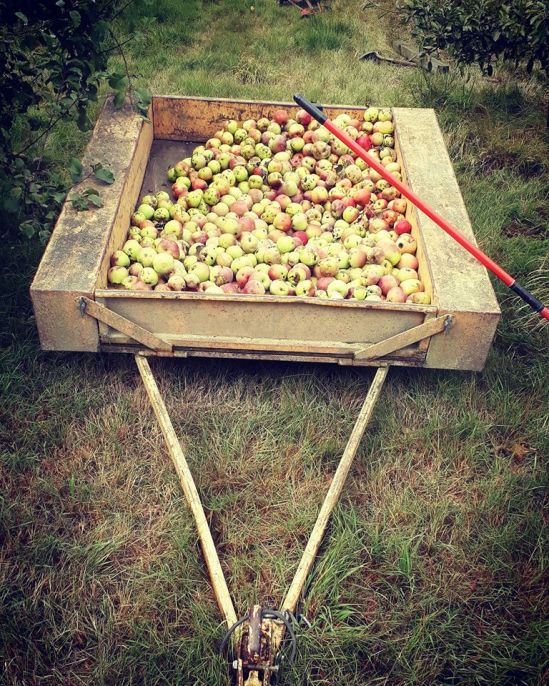 98602945_1634116800091036_217495739415134208_o