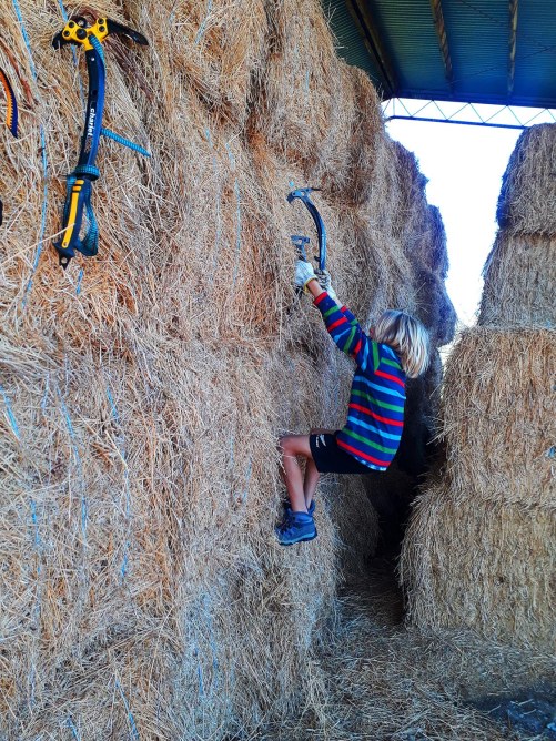 20200513_120509 copy