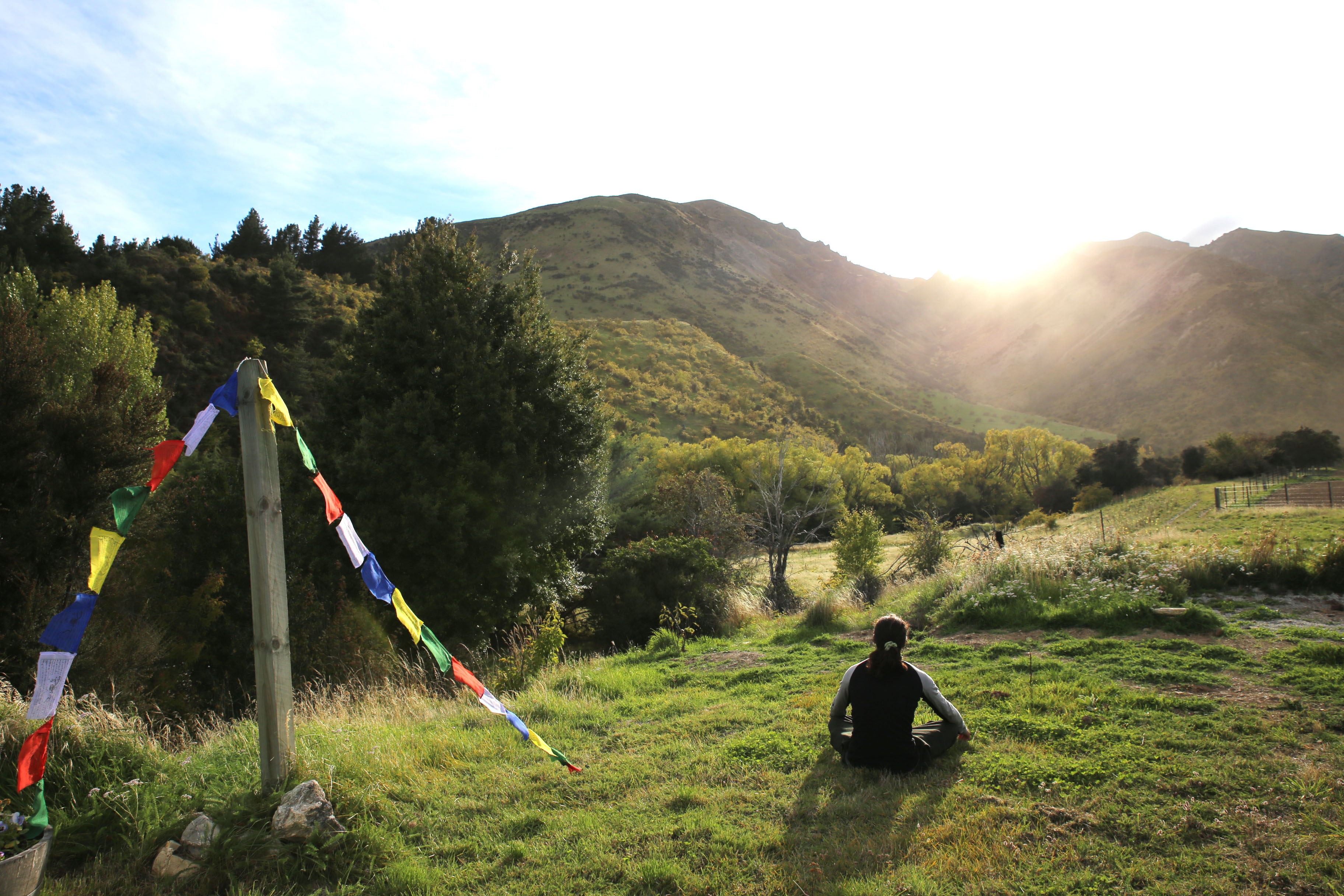 IMG_8761 - Copy copy